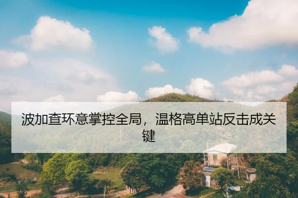 波加查环意掌控全局，温格高单站反击成关键